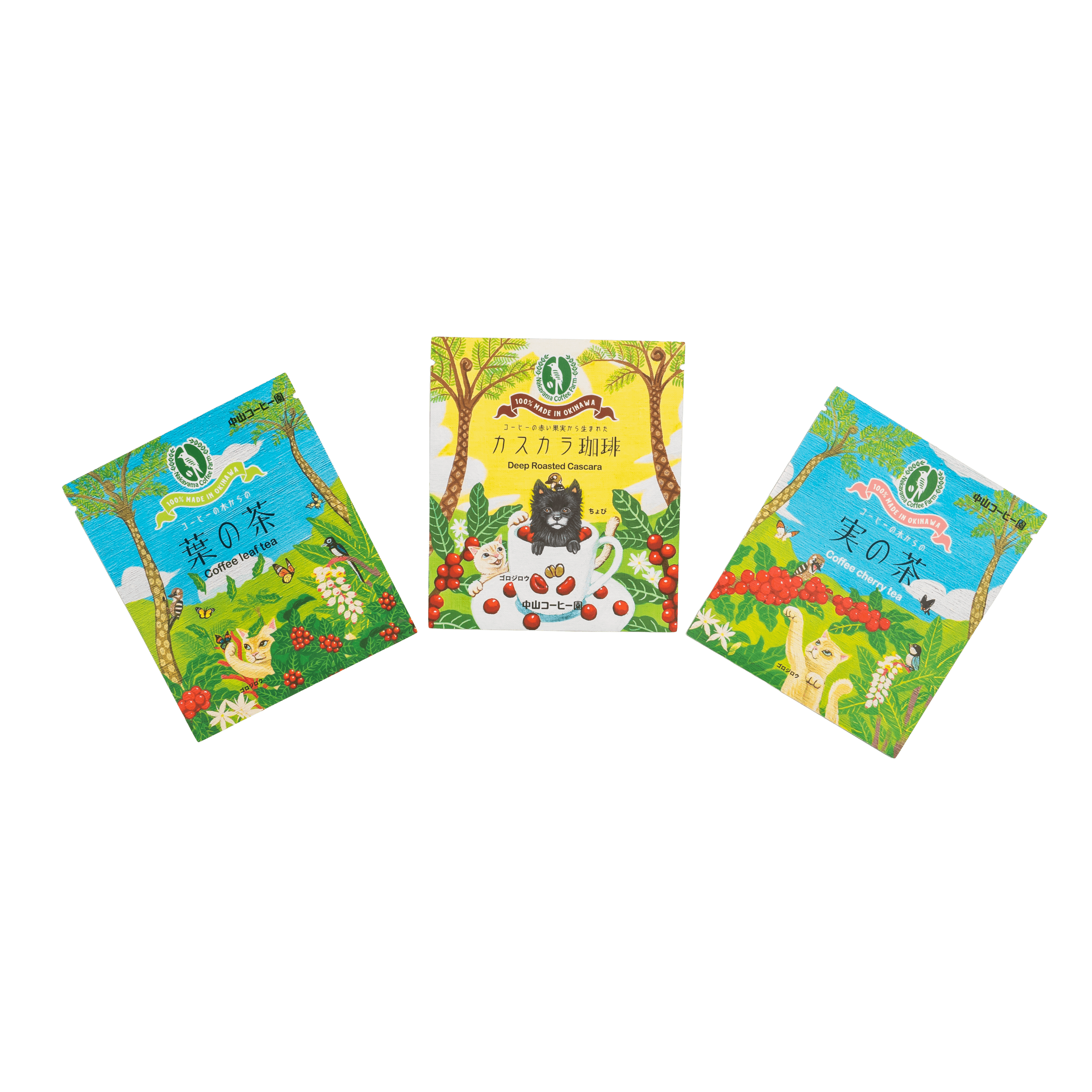 コーヒーの木からの実の茶